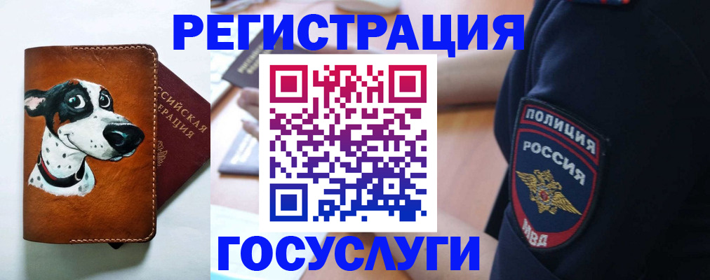 временная регистрация в квартире в Мурманской области
